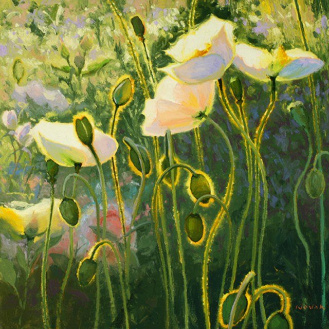 маки - оригинал