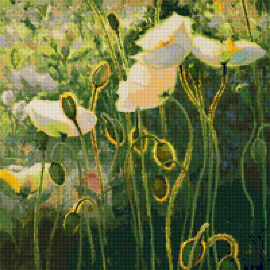 маки - предпросмотр