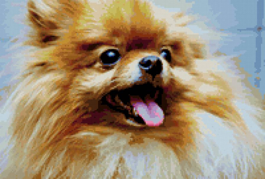 пухнатик - предпросмотр