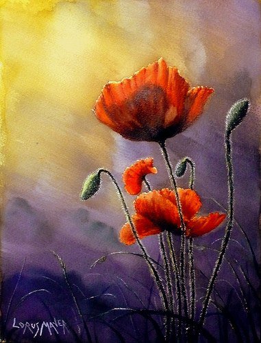 маки - оригинал