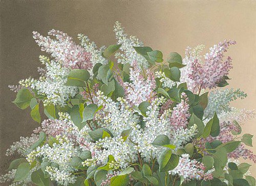 Сирень - живопись, цветы, сирень - оригинал