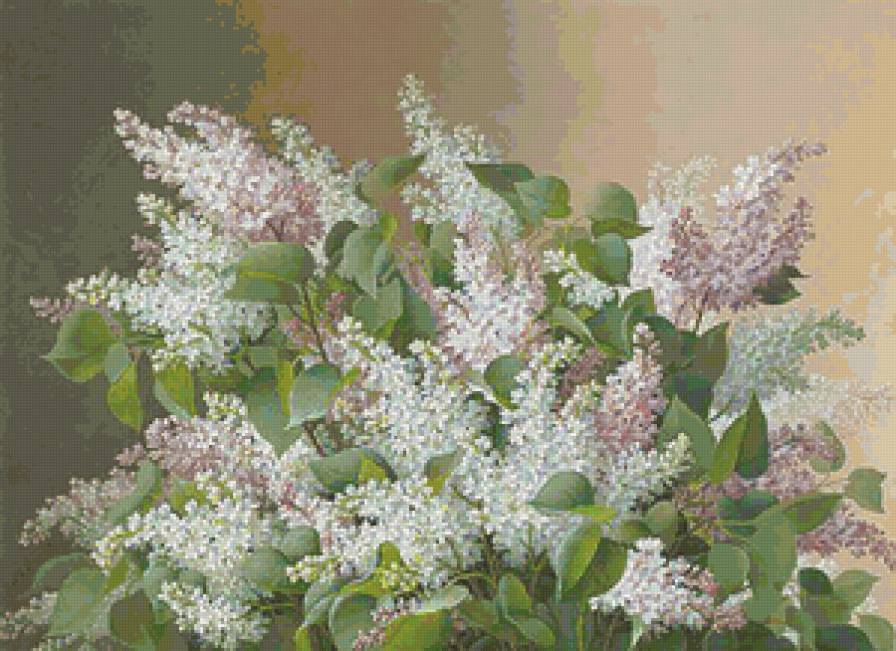 Сирень - цветы, сирень, живопись - предпросмотр