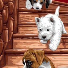 Схема вышивки «Щенки на лестнице»