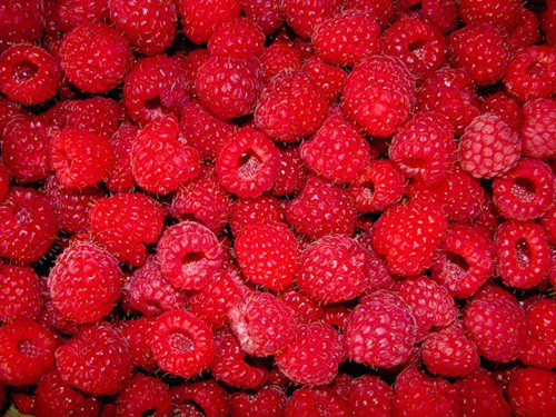 Малина - малина, красное, ягоды, на кухню - оригинал