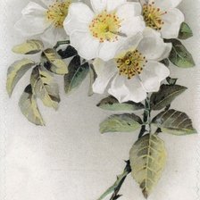 Схема вышивки «№100309»