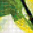 Предпросмотр схемы вышивки «зелень» (№100322)