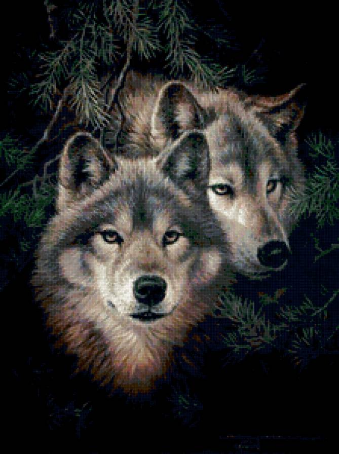 пара - животные - предпросмотр