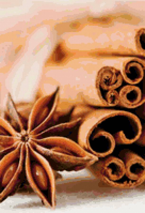 корица и анис - корица, анис - предпросмотр