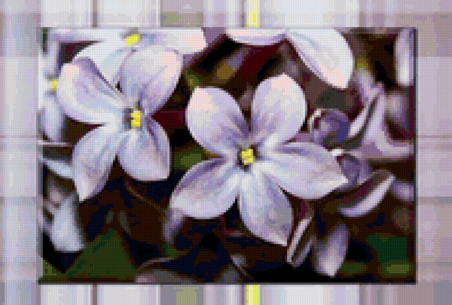 счастливый цветок - сирень - предпросмотр