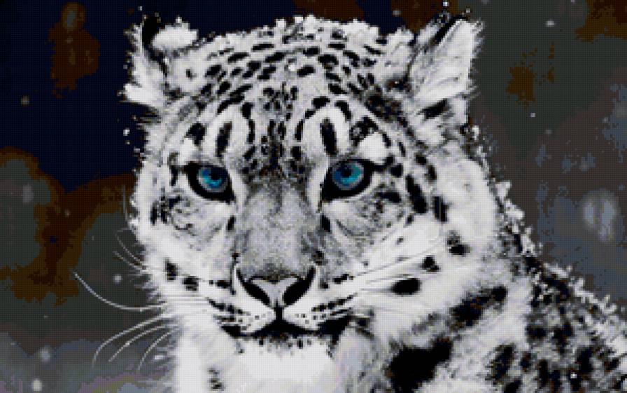 Снежный Леопард - животные, природа - предпросмотр