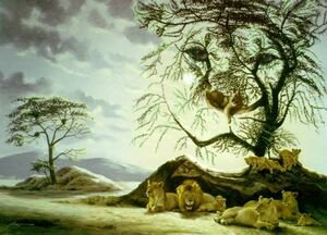 львиная семья - большие кошки, картина - оригинал