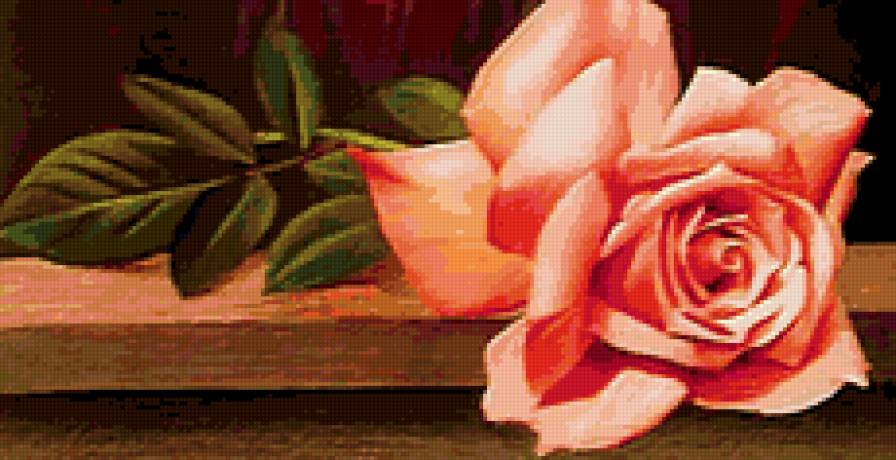 Роза - роза - предпросмотр