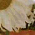Предпросмотр схемы вышивки «ромашки» (№100545)