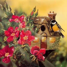 птичкин дом