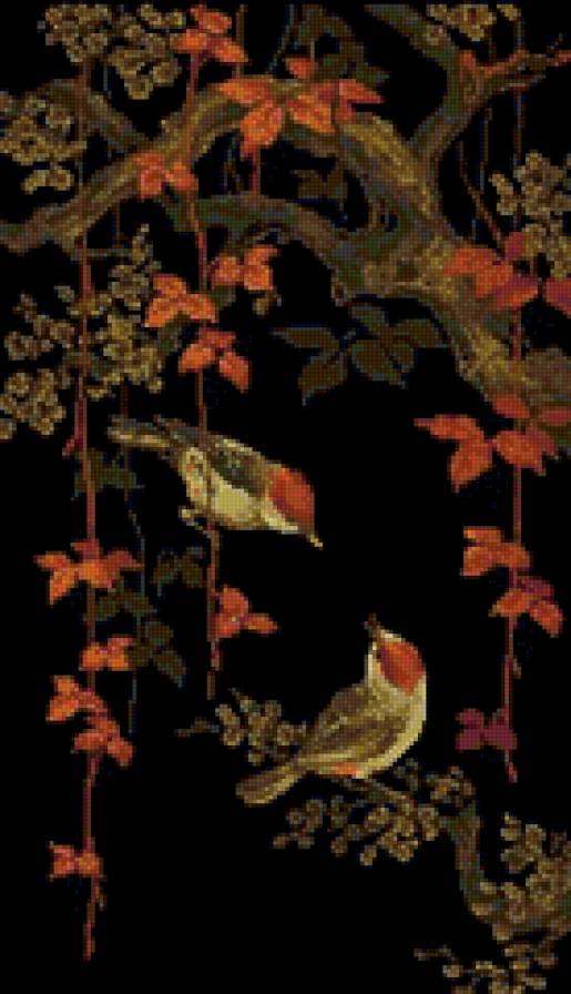 птахи - птицы - предпросмотр