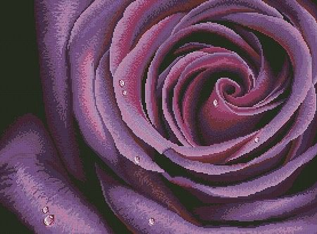 роза - цветы, бутон, розы - оригинал