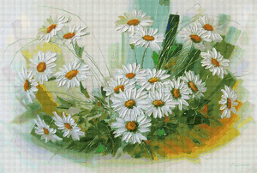 №101121 - цветы, белые цветы, ромашки - предпросмотр