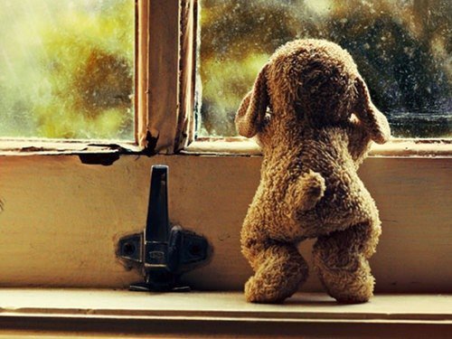 № 10 - зверек, звери, окно - оригинал