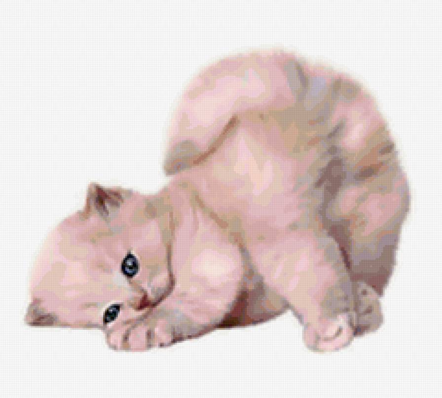 вниз головой - кошки, животные, коты, котята - предпросмотр