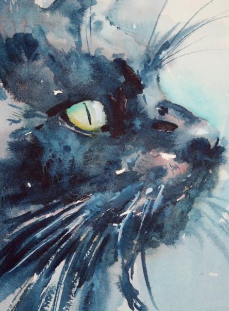 черный кот - животные, коты, кошки - оригинал