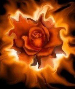 №101477 - оригинал