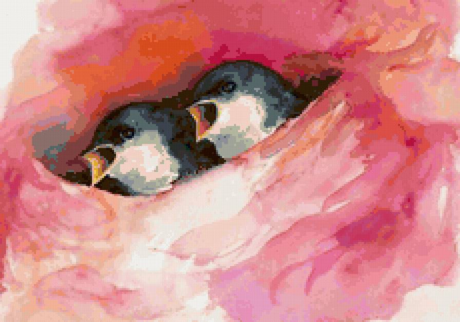 ласточки - ласточка, птицы - предпросмотр