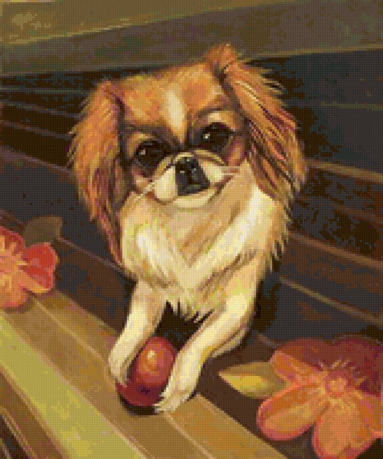 собачка - животные, собаки - предпросмотр