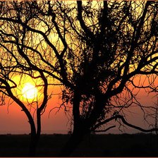 Схема вышивки «№101730»