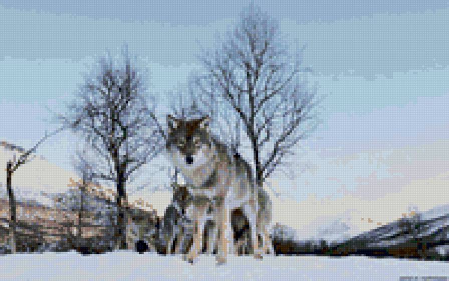 №101741 - предпросмотр