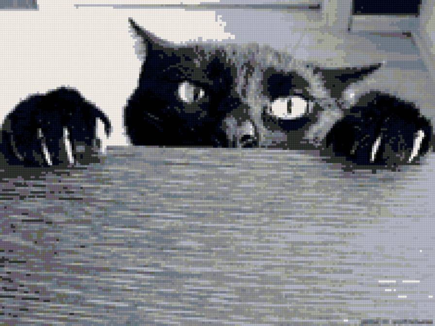 №101746 - предпросмотр