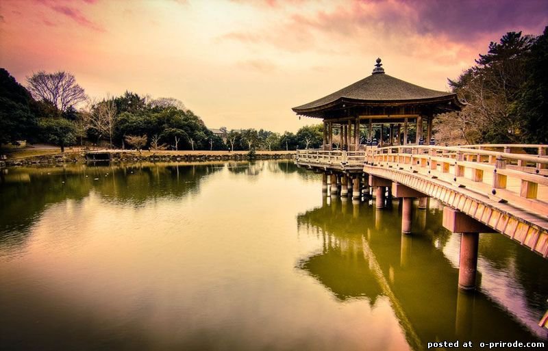 №101755 - оригинал