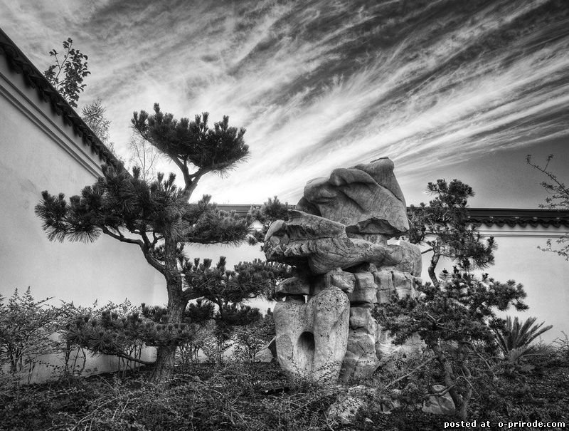 №101760 - оригинал