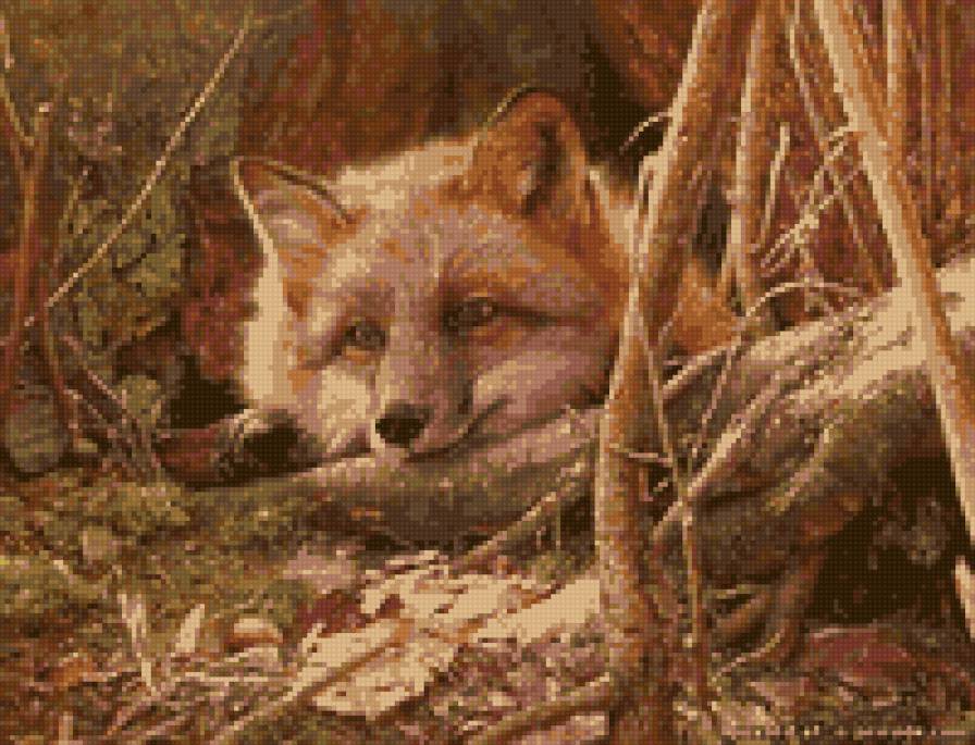 №101775 - предпросмотр