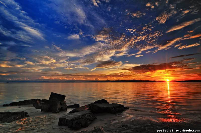 №101794 - оригинал