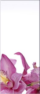 №3 - оригинал