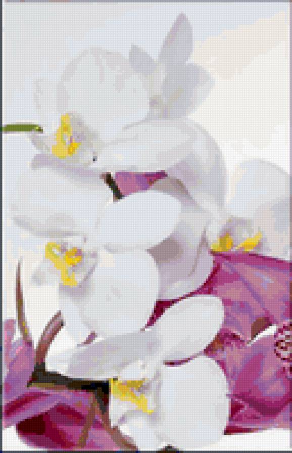 №1 - предпросмотр