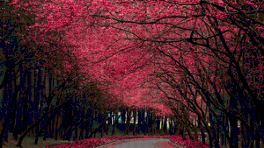 осень - предпросмотр