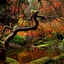 Схема вышивки «пейзаж»