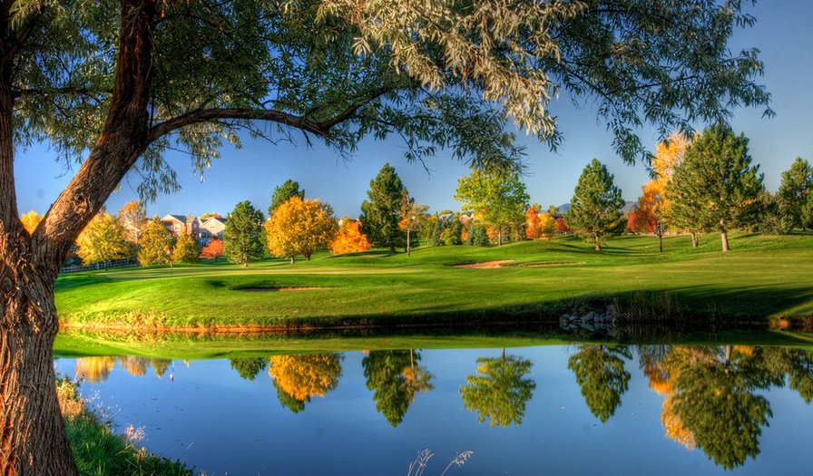 Осень - пейзаж, озеро, дерево, природа - оригинал