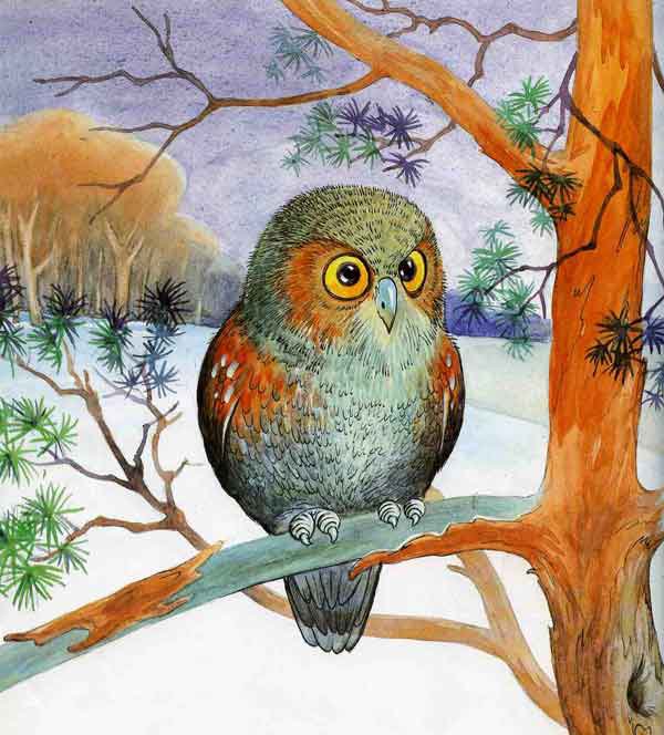 Сова - оригинал