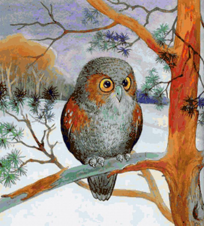 Сова - предпросмотр