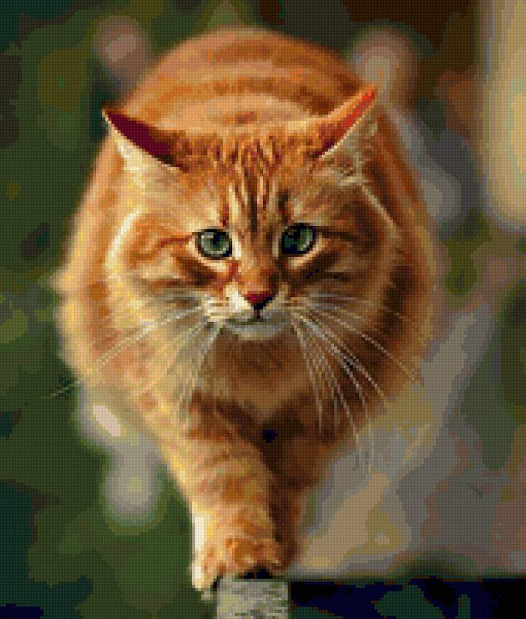 Рыжий - кот - предпросмотр