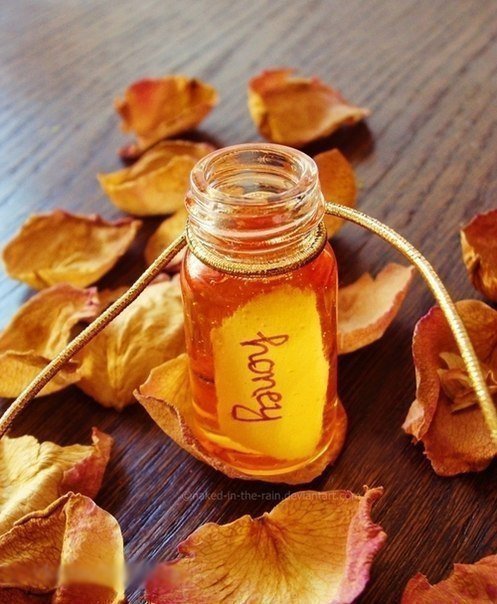 Мед - осень, мед, листья - оригинал