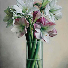 Схема вышивки «Амариллисы.»