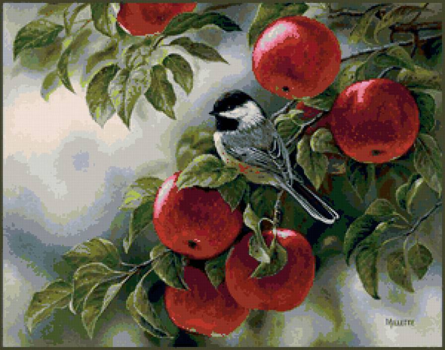 фруктовый сад - яблоки, фрукты, птицы - предпросмотр