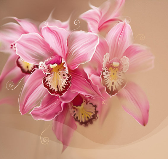 Серия "Букет" - цветы, букет, орхидеи - оригинал