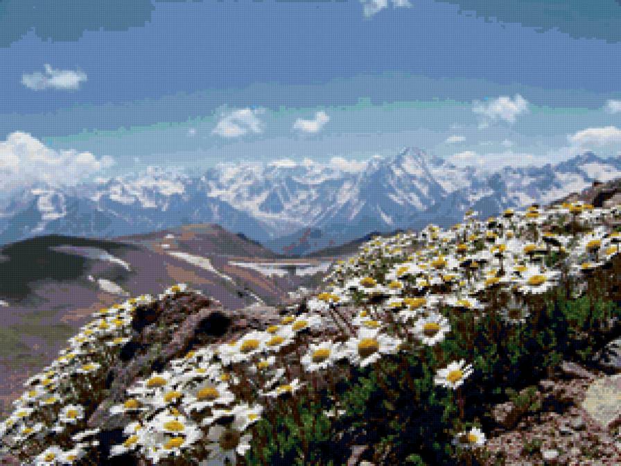 Пейзаж - горы, живопись, цветы, пейзаж - предпросмотр