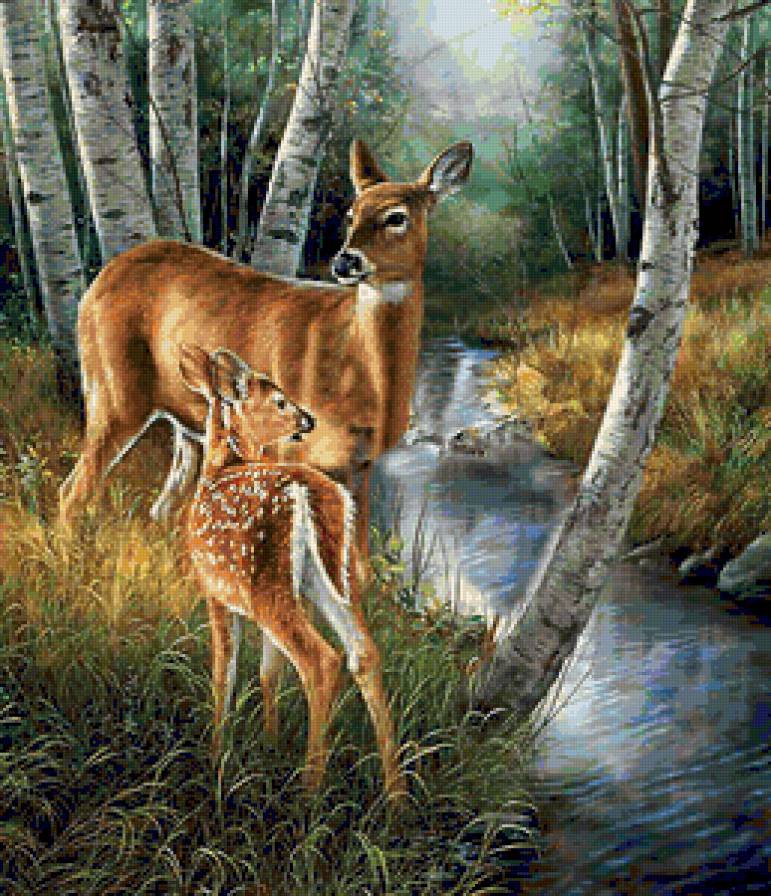 природа - природа - предпросмотр