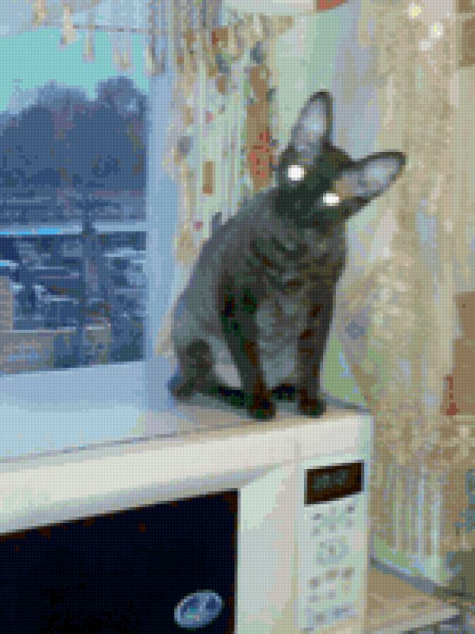 кошка - предпросмотр