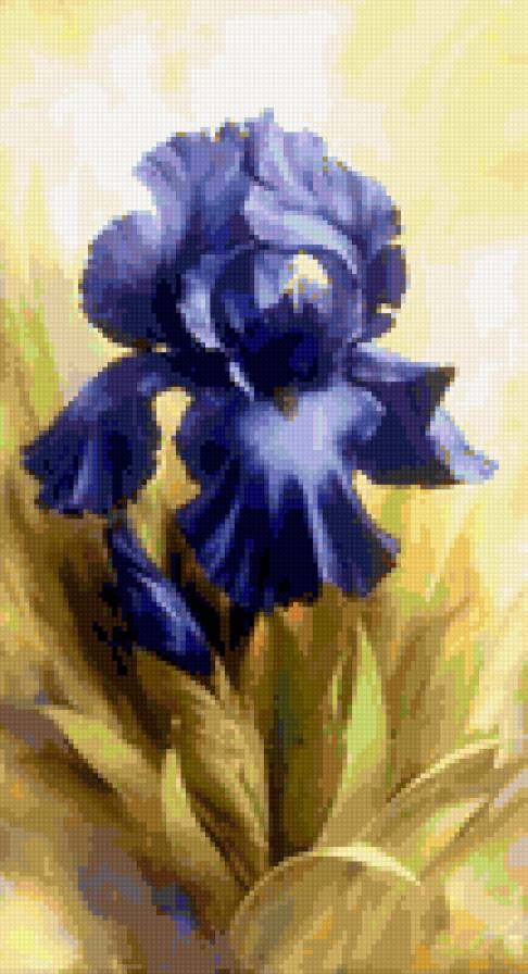 ирис - предпросмотр